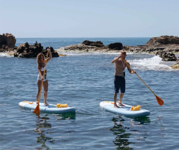 🌊 Paddle: deslízate sobre el fondo marino - Imagen 4